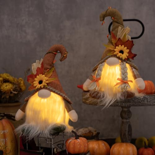 Herbstdeko Wichtel mit LED Licht, 2 Stück Herbst Deko Wichtel mit Beleuchtet, Herbst Dekoration Kürbis Wichtel, Herbstdeko Wichtel Figuren Plüsch Für Erntedankfest Weihnachten Party Geschenk