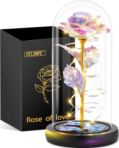 Otlonpe Blumen Geschenke für Frauen Weihnachten, Weihnachts Rosen Geschenke für Frauen Mama,Ewige Rose im Glas mit LED Geburtstagsgeschenk für Frauen Freundin am Muttertag Valentinstag Jahrestag