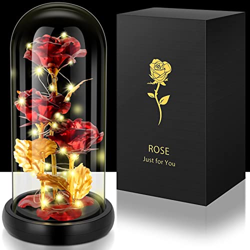 Ewige Rose im Glas, Muttertagsgeschenke für Mama,Die Schöne und das Biest Ewige Rose, Rose im Glas mit LED in Einer Glaskuppel, Geschenke für Frauen,Mama, Oma,Freundin