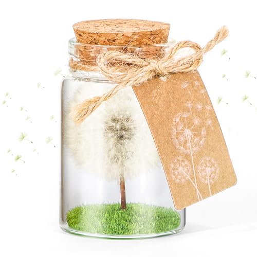 Giftota Wunscherfüller, Echte Pusteblume im Glas mit Geschenkbox - Handgefertigt, Geschenk für Geburtstag, Hochzeit, Weihnachten