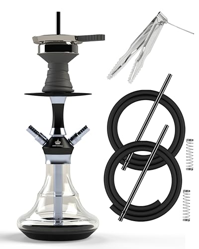 NOBLE HOOKAH 43cm Reise Shisha Set Klein Shisha Mini Shisha to go mit Hochwertigem Zubehör - mundgeblasene Flasche und Edelstahl-Downpipe 2 Schläuche und Griffe