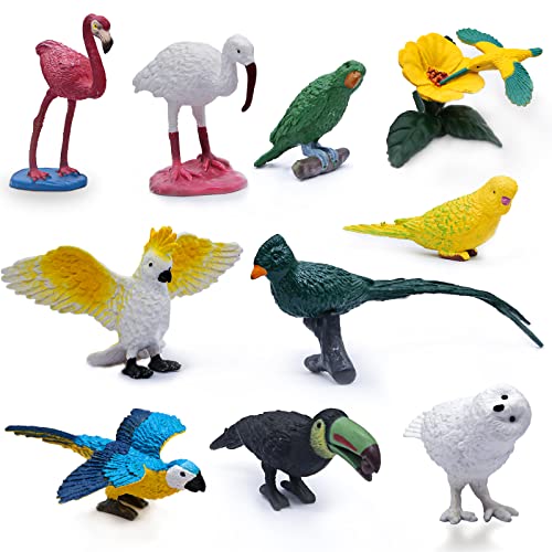 10 Stück Mini-Vogelfiguren, Kunststoff-Vogel-Tierspielzeug, realistische Vogel-Tierfiguren, Miniatur-Vogel-Tiermodell, Flamingo, weißer Ibis, Papageien, Kolibri, pädagogisches Spielzeug, Kuchen Topper