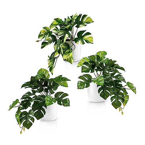 PASCH® 3er Set Monstera künstlich (20cm) in weißen Keramiktöpfen: künstliche Pflanzen wie echt | Monstera Pflanze künstlich | Kunstpflanze hängend im Topf | Hängepflanze künstlich abgestimmt