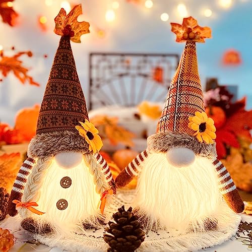 ACAREY Herbstdeko Wichtel mit Licht 2 Stück Herbst Dekoration Plüsch Figuren Halloween Deko mit LED Weihnachten Figur Herbsternte Beleuchtete (2 Stück)