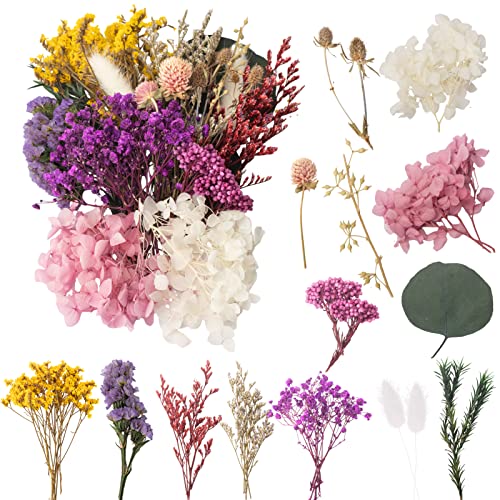 LAUMOE Trockenblumen, Getrocknete Blumen, Trockenblumen Zum Basteln Trockenblumen Klein Trockenblumen Set ​für Kunst DIY Harz Scrapbooking Handwerk Karten Machen (Stil 3)