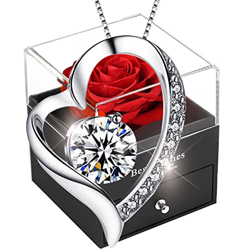 Rote Eternal Rose Mit Herz Damen Halskette,SWEETIME Infinity Rosen mit 925 Sterling Silber Kette schmuck, Echte Ewige Konservierte Blumen Frauen Geschenk Box Muttertag Valentinstag Hochzeitstag.