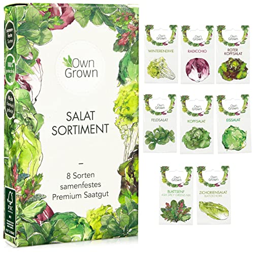 Salat Samen: 8 Sorten Salat Saatgut Set für Garten und Balkon – Kopfsalat Samen, Blattsenf, Feldsalat Samen winterhart, Radicchio, Endiviensalat Samen, Zichorie – Salat Gemüse Samen von OwnGrown