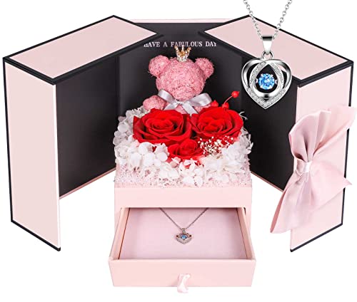 ADDWel Ewige Rose mit 925 Sterling Silber Herz Halskette - Echte Konservierte Infinity Rose Box, Romantisches Geschenk für Frauen, Freundin & Mama zum Valentinstag, Weihnachten, Geburtstag & Jahrestag